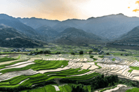 Mu Cang Chai