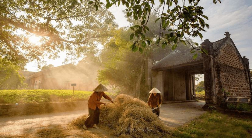 L'ancien village de Duong Lam, mémoire du Nord Vietnam