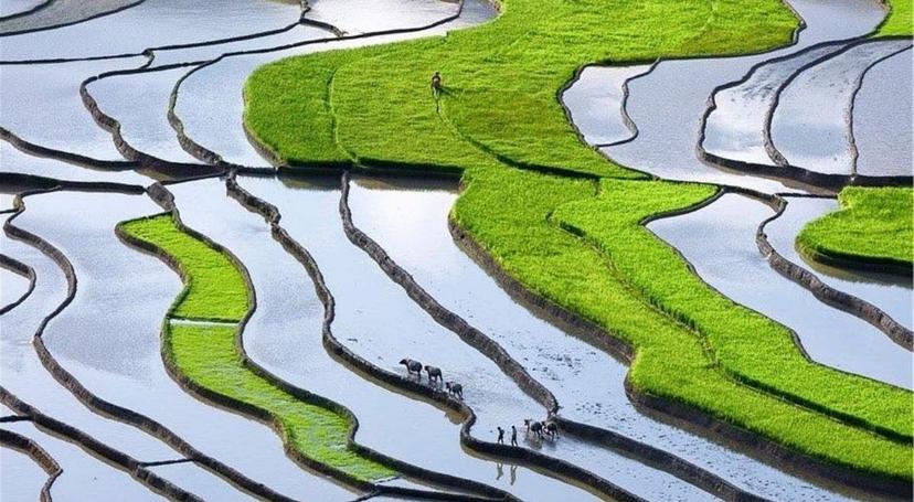 Vietnam en juin : météo, où aller et conseils